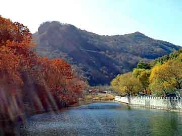 管家婆黑白马报图库，地下室的秘密